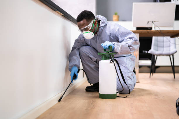 Best Pest Exclusion Services  in Eldorado, IL